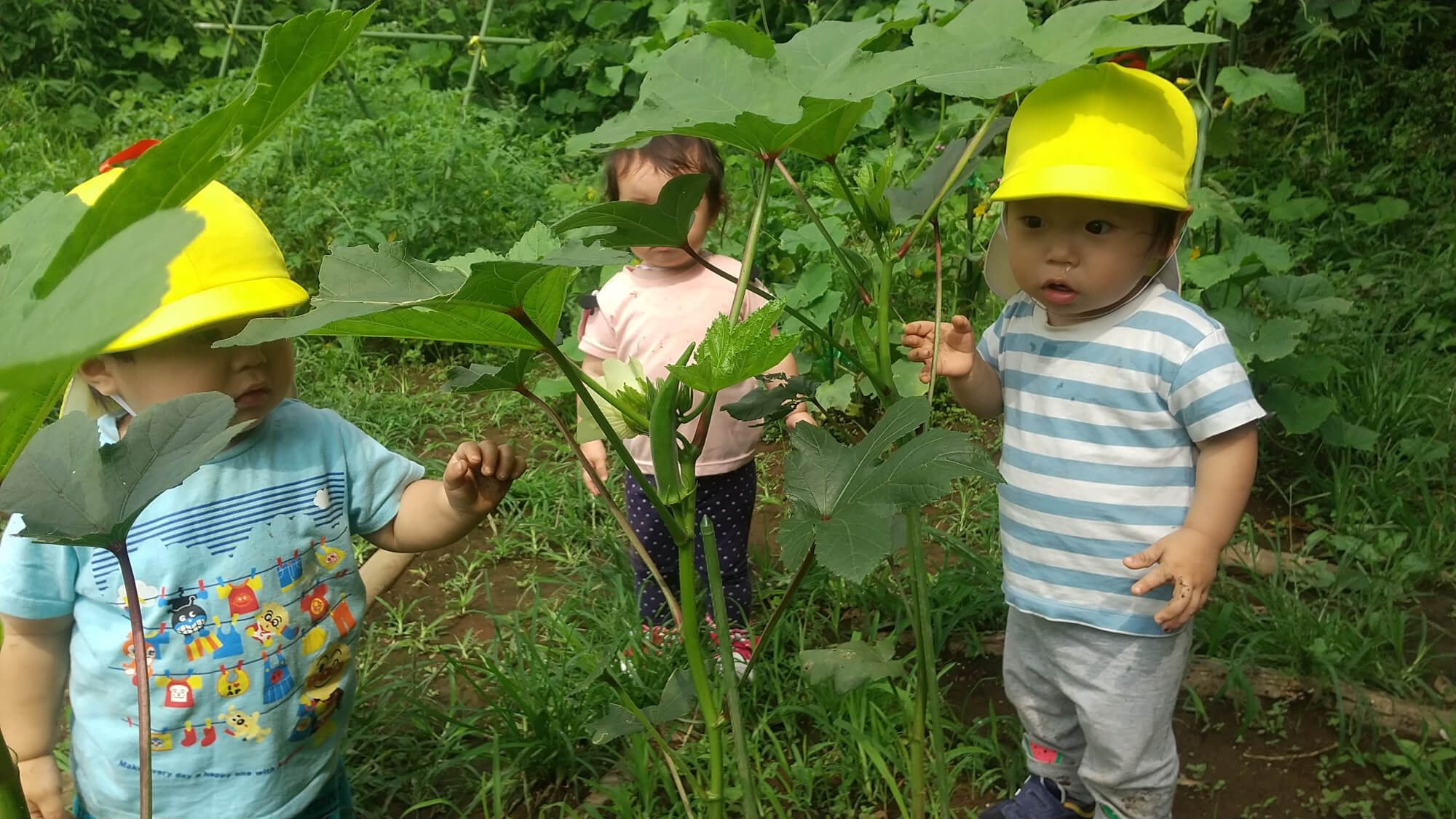 畑仕事をする子どもたち