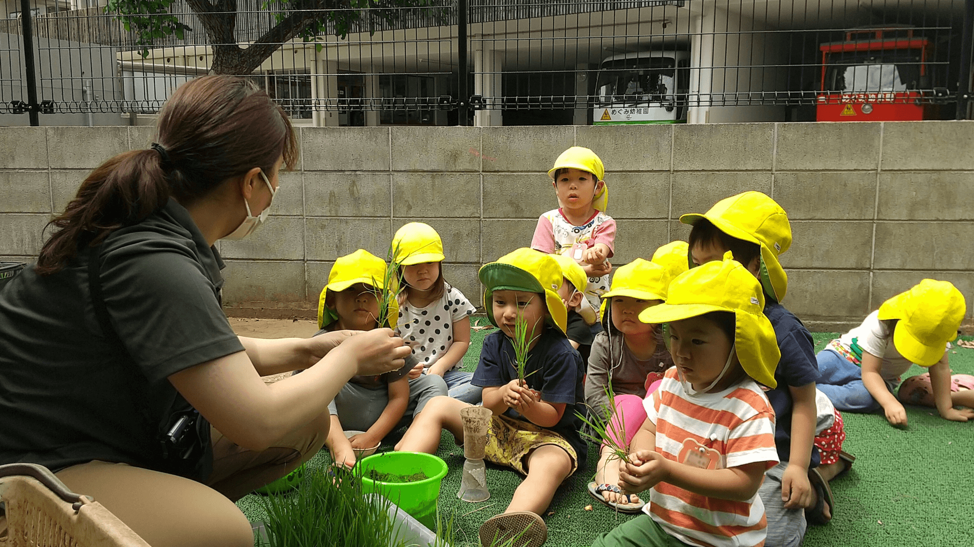 苗を手に取る子どもたち