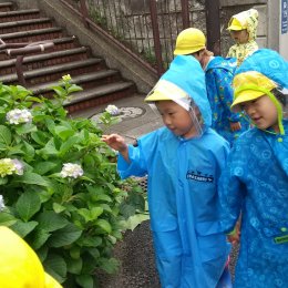 池上どろんこ保育園「池上どろんこ保育園の子どもたち」