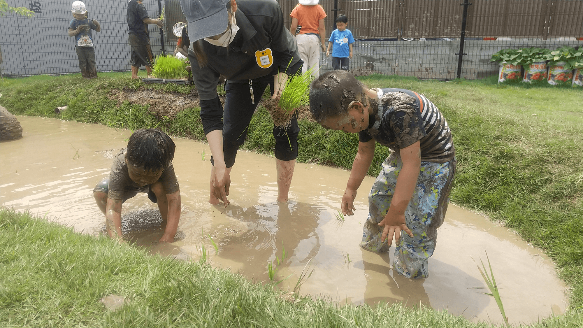 田植えに挑戦する子どもたち