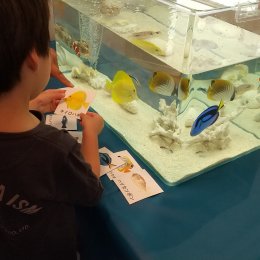 移動水族園の魚