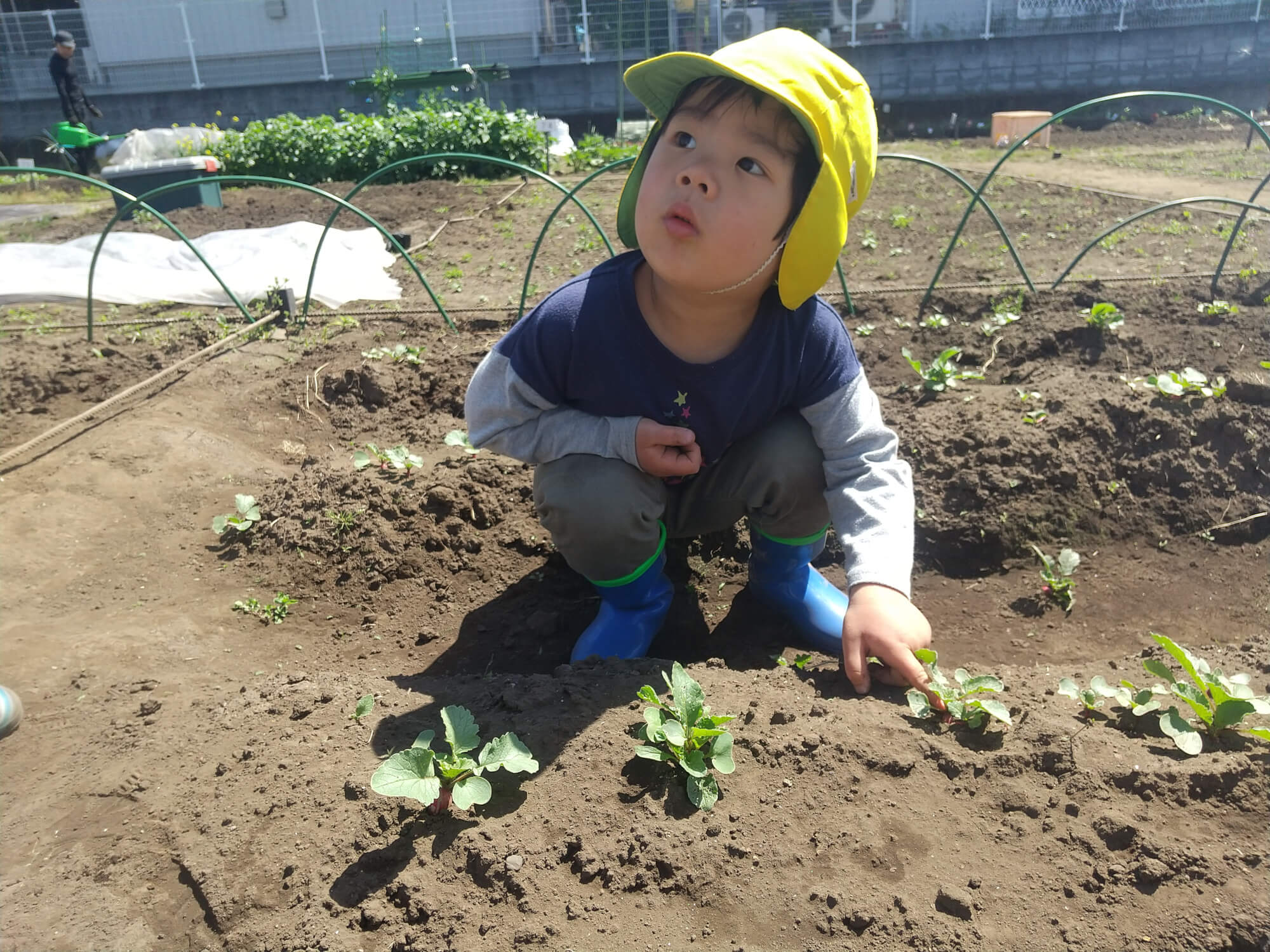 畑仕事をする子ども