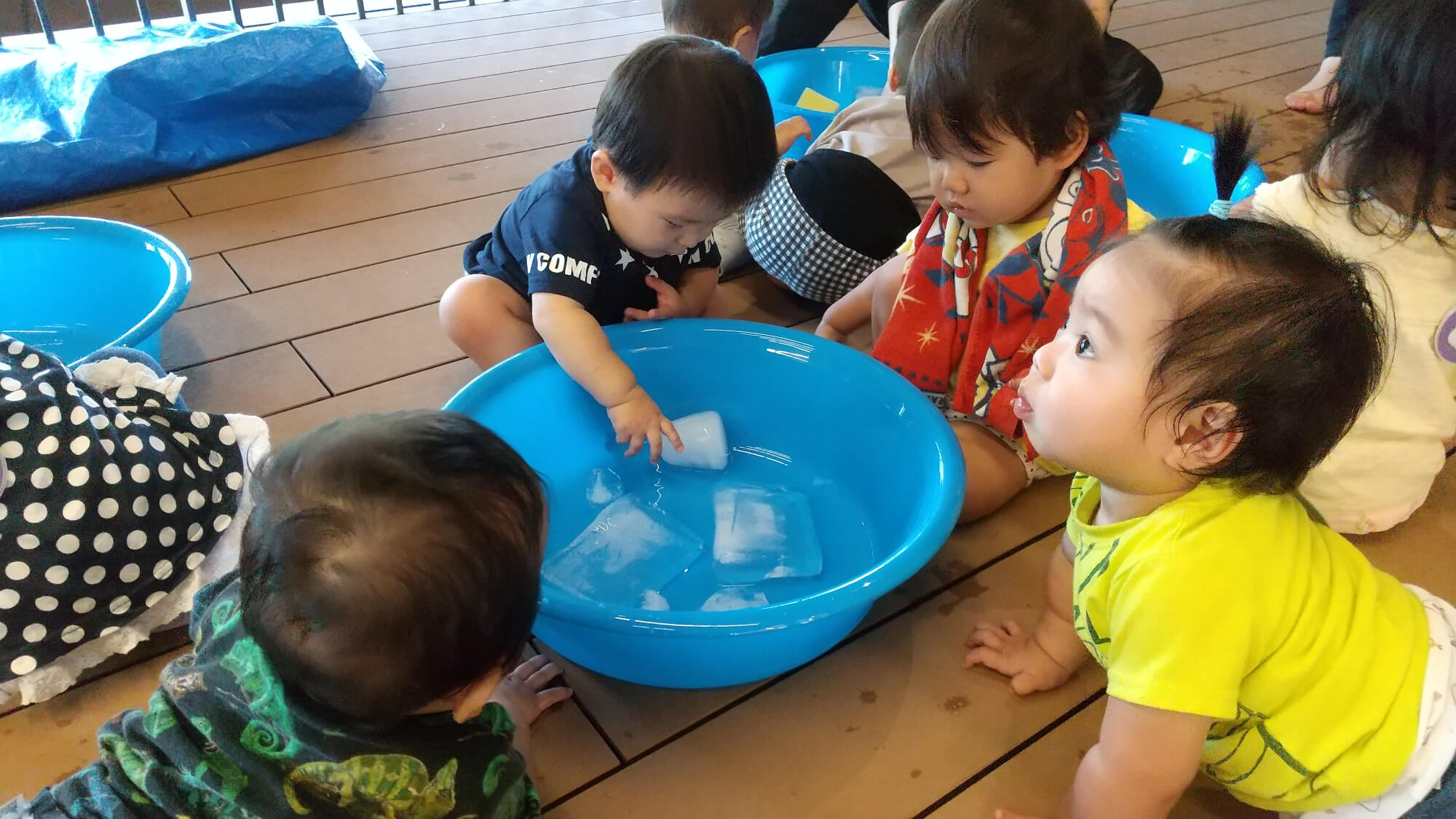 洗面器の中の氷に興味津々の子どもたち