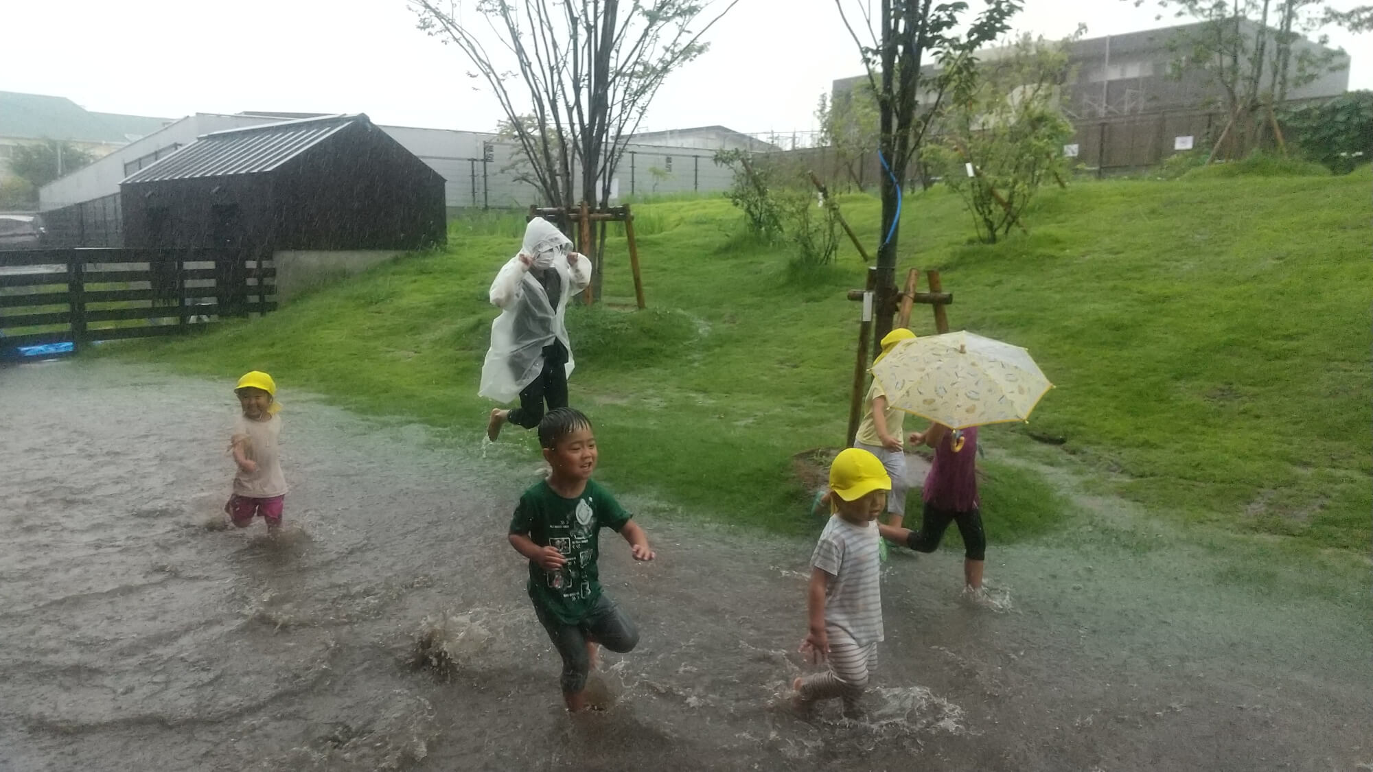 雨の中でかけっこする子どもたち