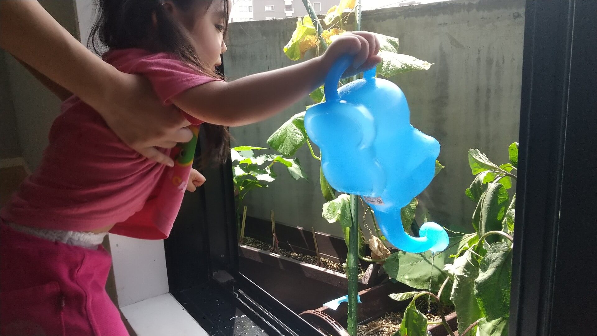 プランターに水をやる子ども