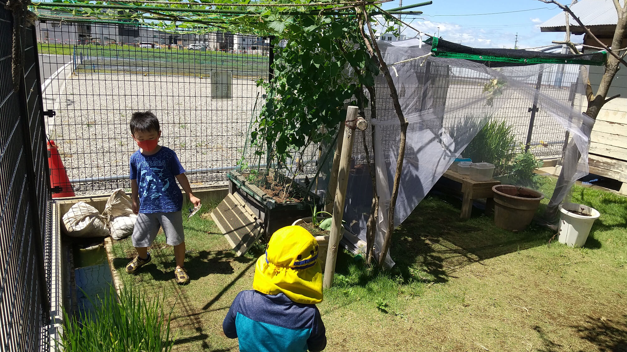 庭の虫ハウスで遊ぶ子ども