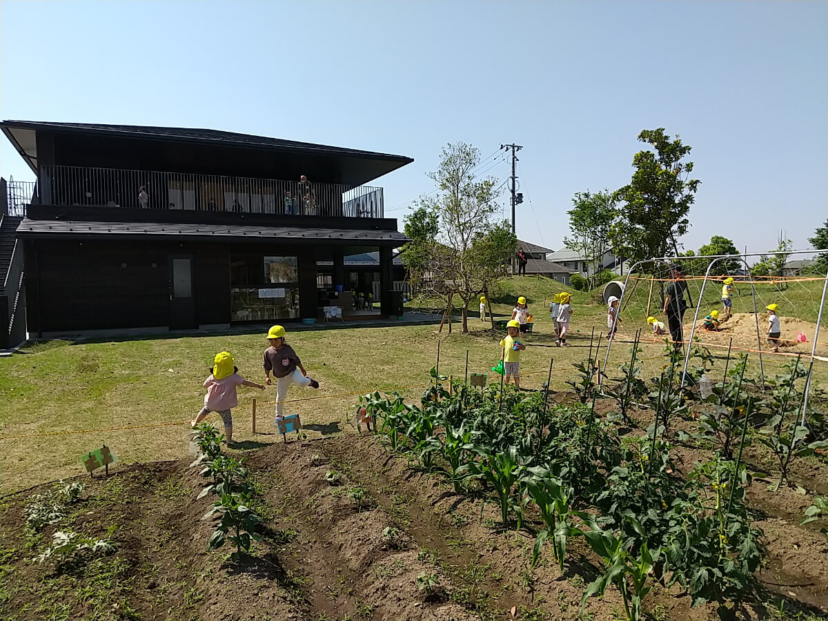 園庭での畑仕事