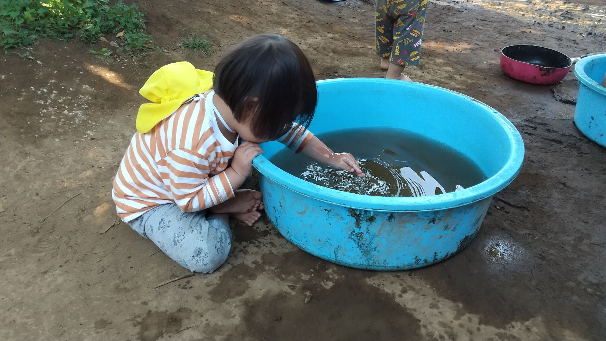 たらいに溜めた水で遊ぶ子ども