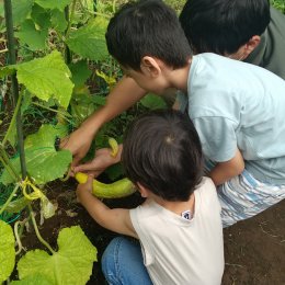 発達支援つむぎ 北千住「大きなきゅうりが取れたよ！」