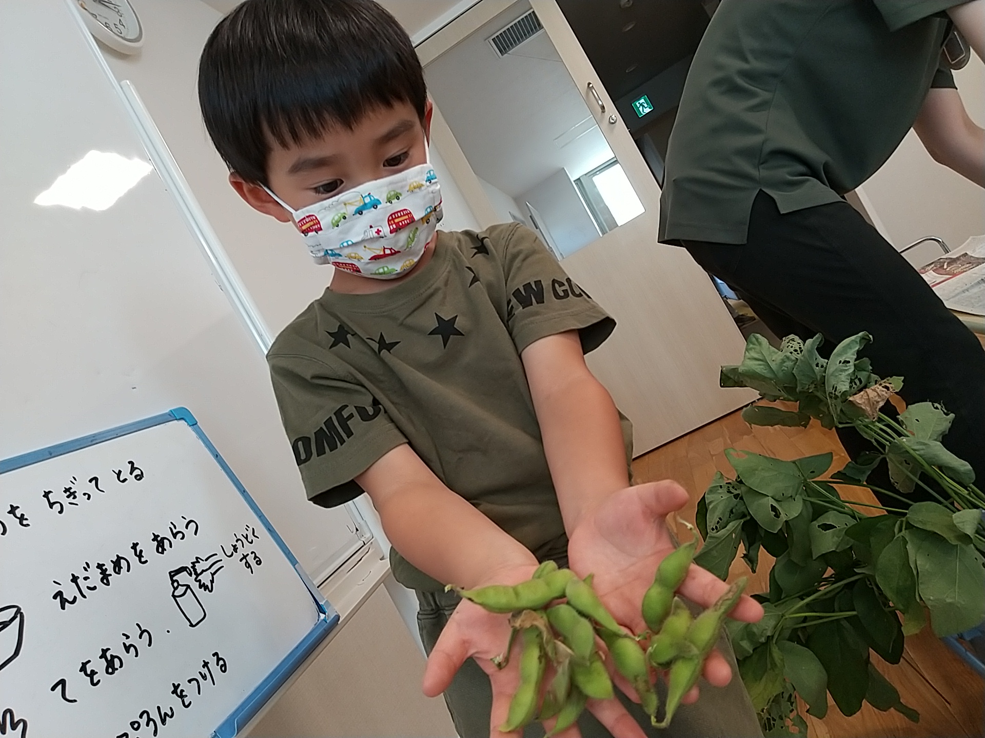 とれた枝豆を見せる子ども