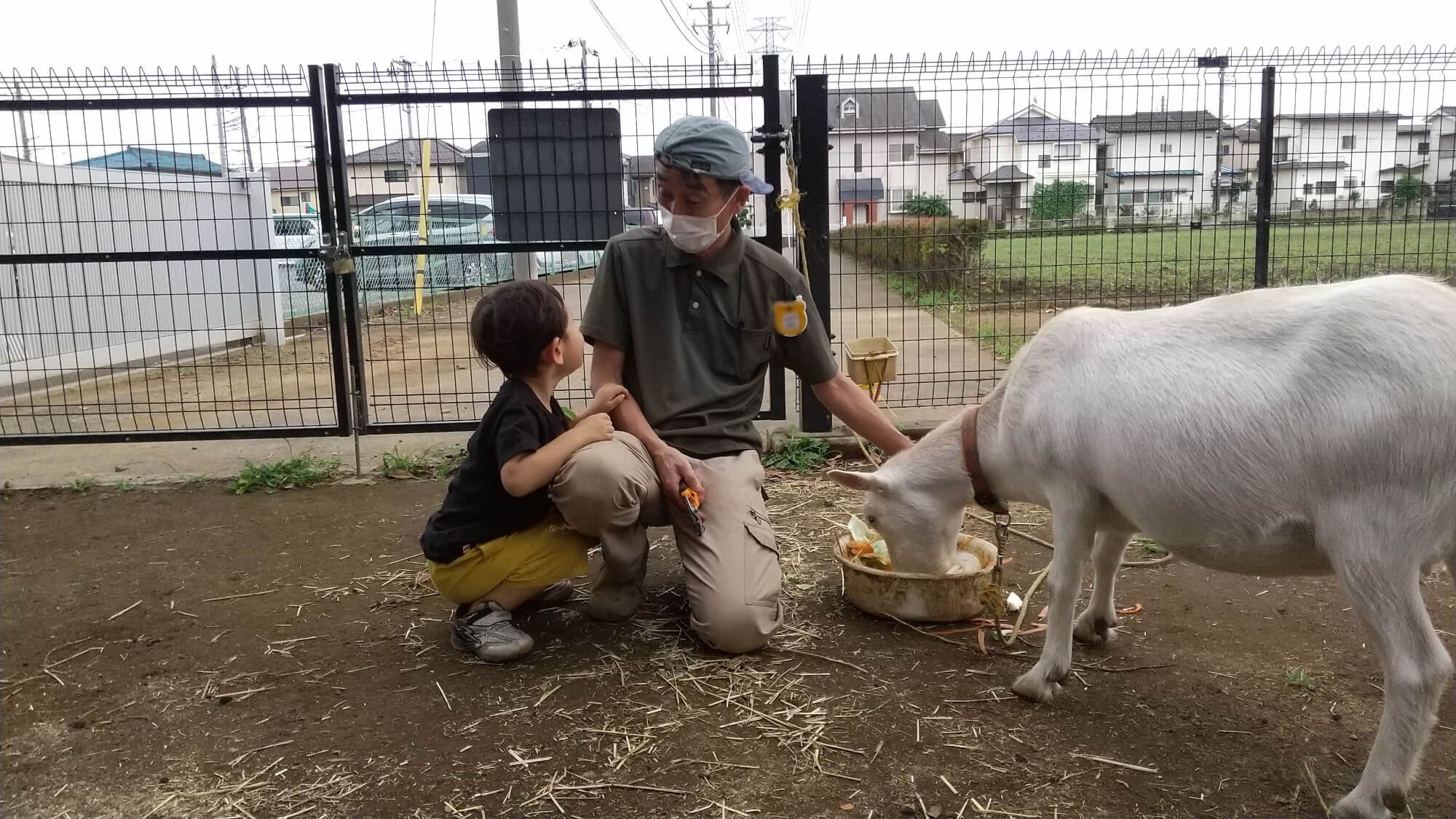 ヤギに餌をあげる職員と子ども