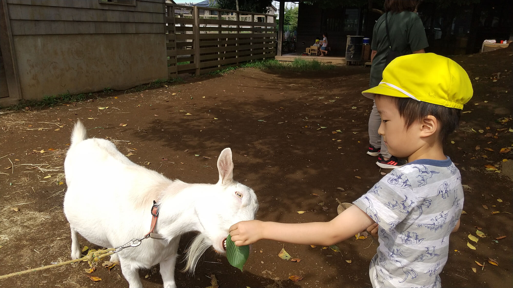 ヤギには葉っぱをあげる子ども