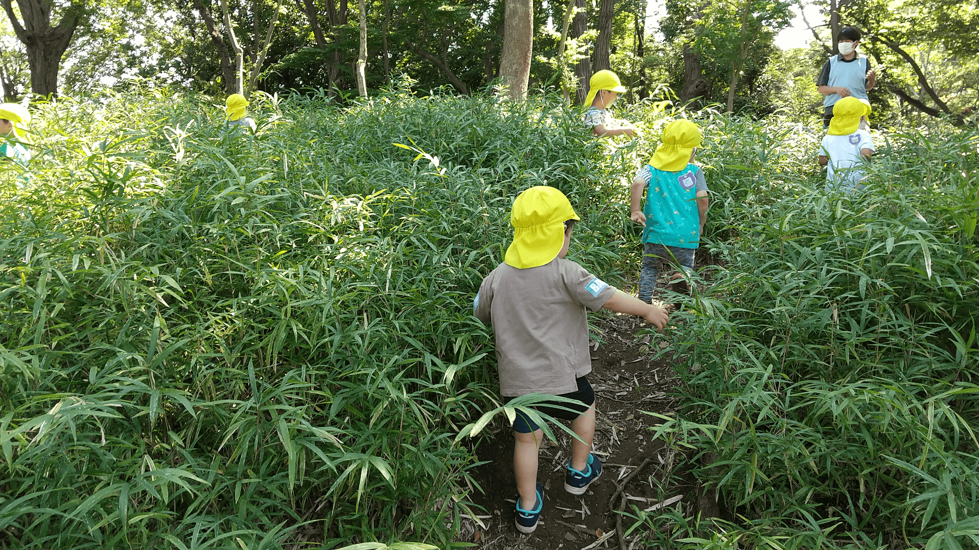 斜面の茂みの中を元気いっぱいに走り回っている子どもたち