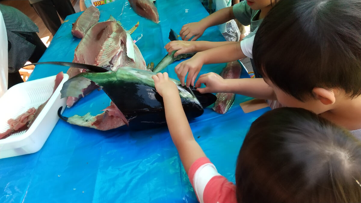 マグロの頭を触る子どもたち