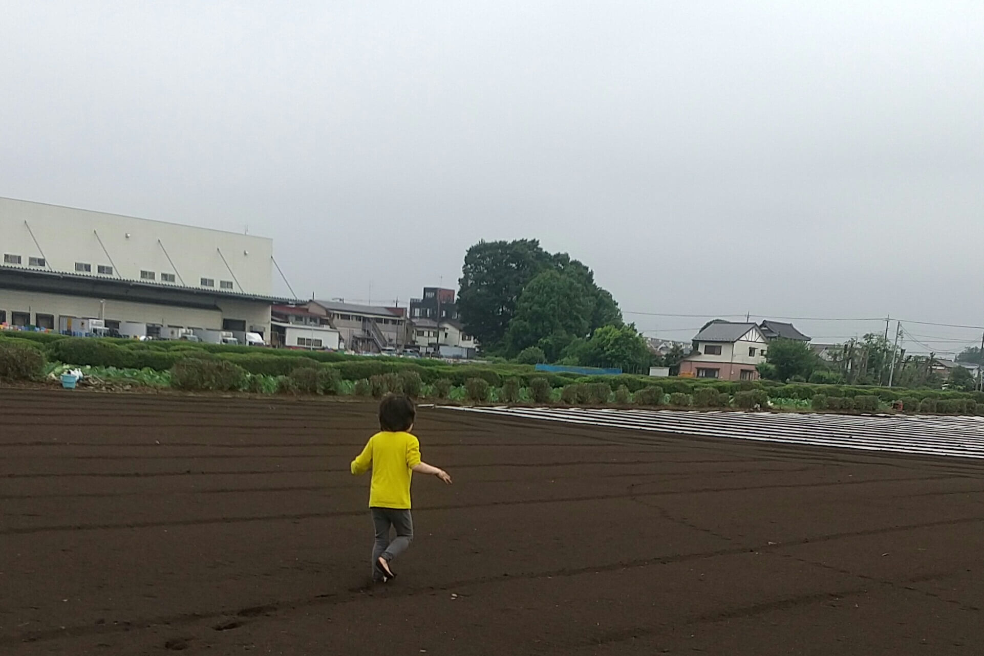 広い畑を裸足で走り回る子ども