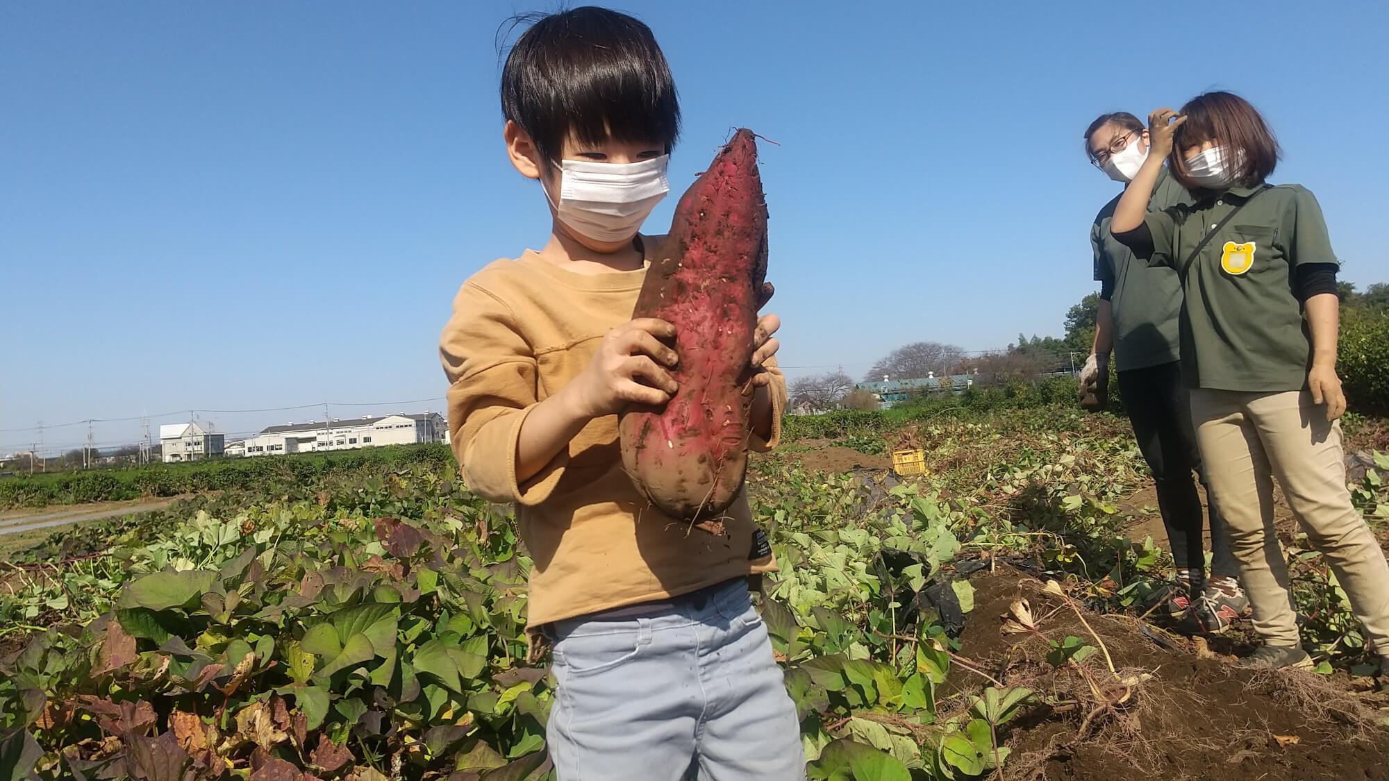 大きな芋を掘り出した子ども