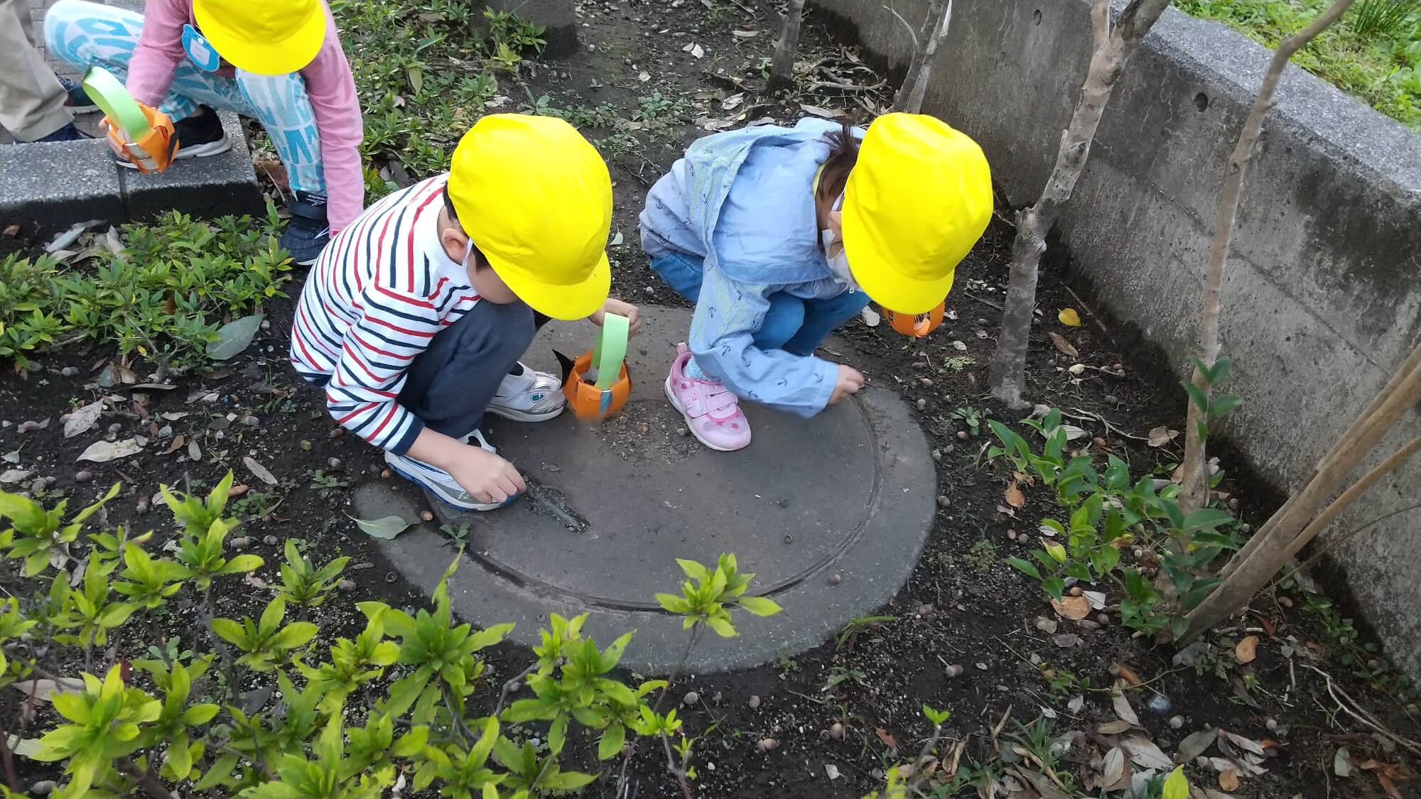 葉っぱや木の実を探す子どもたち