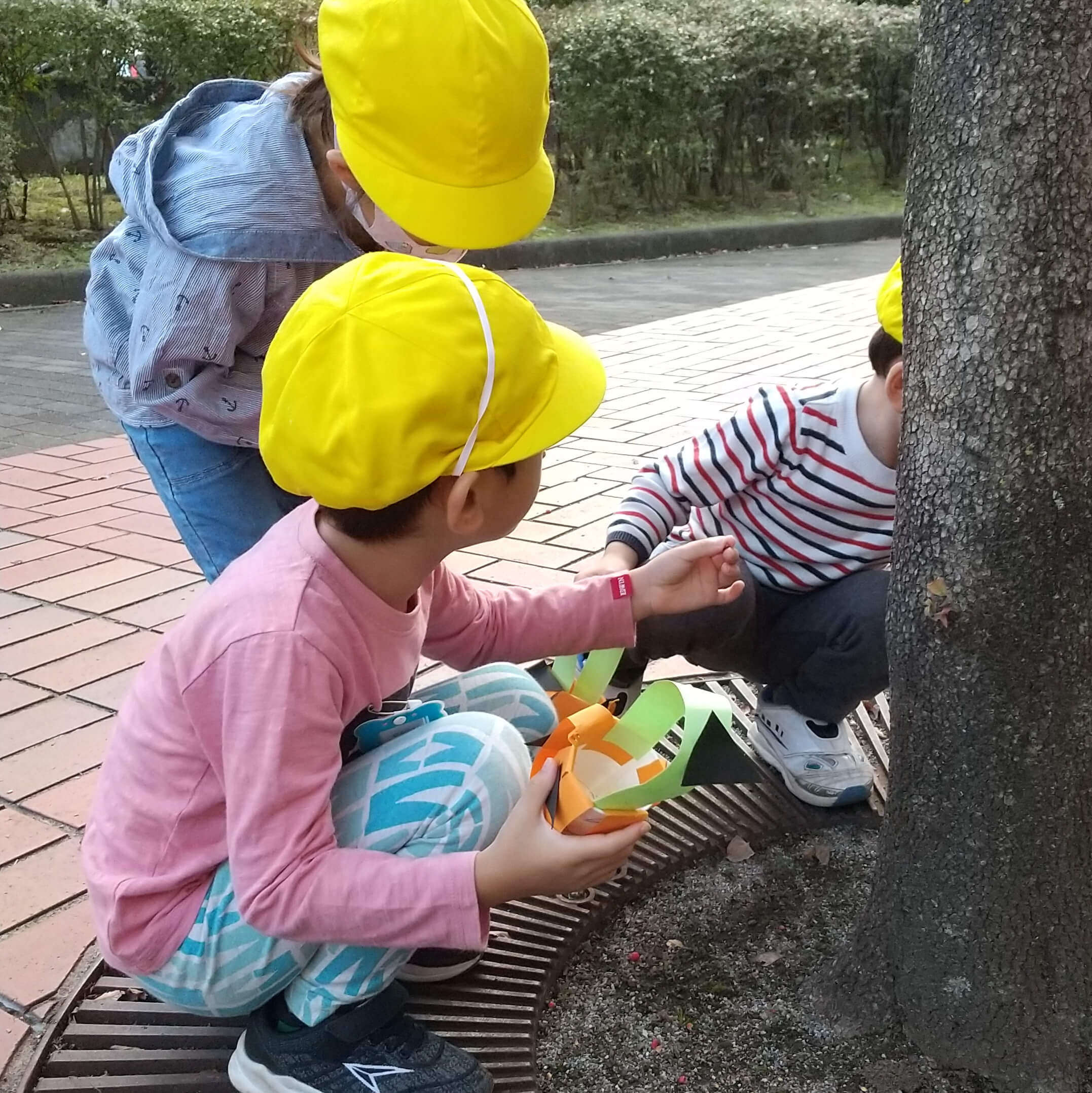 葉っぱや木の実を探す子どもたち