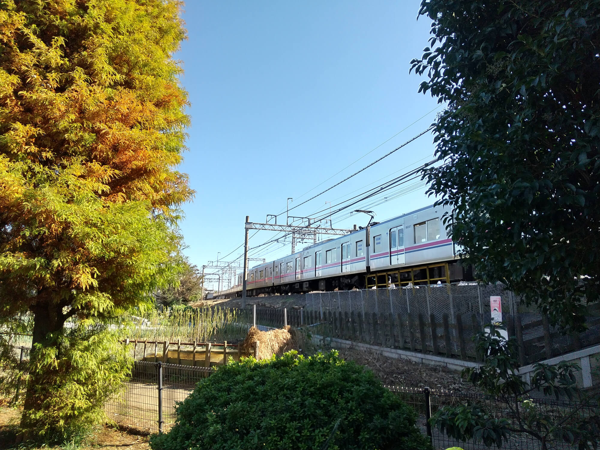 西つつじヶ丘児童遊園から見える電車