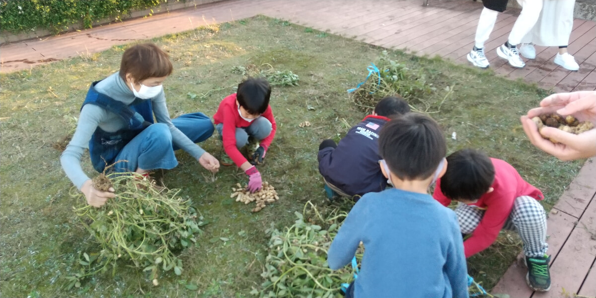 実を取り除く作業