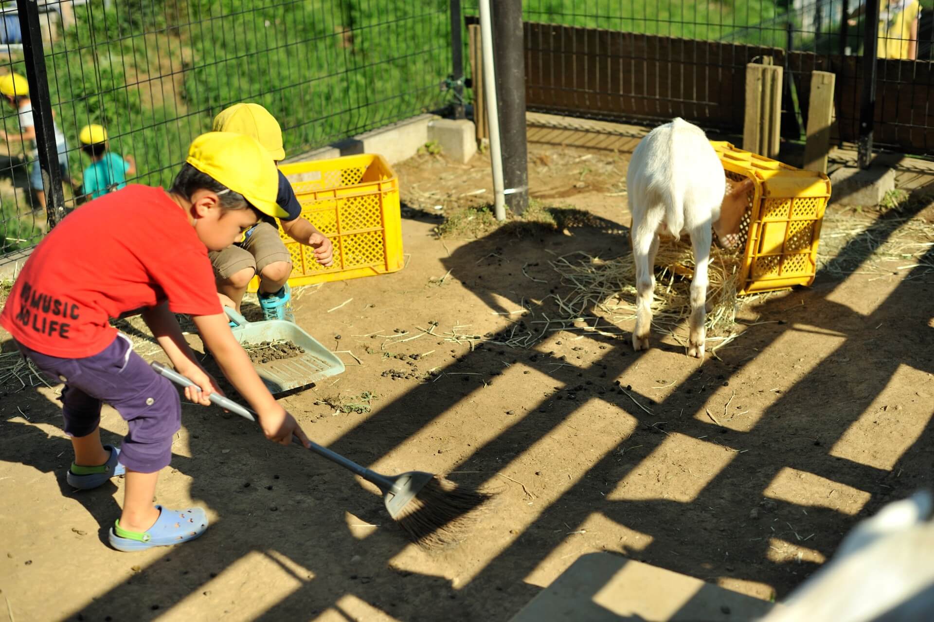 ヤギ小屋の掃除もします