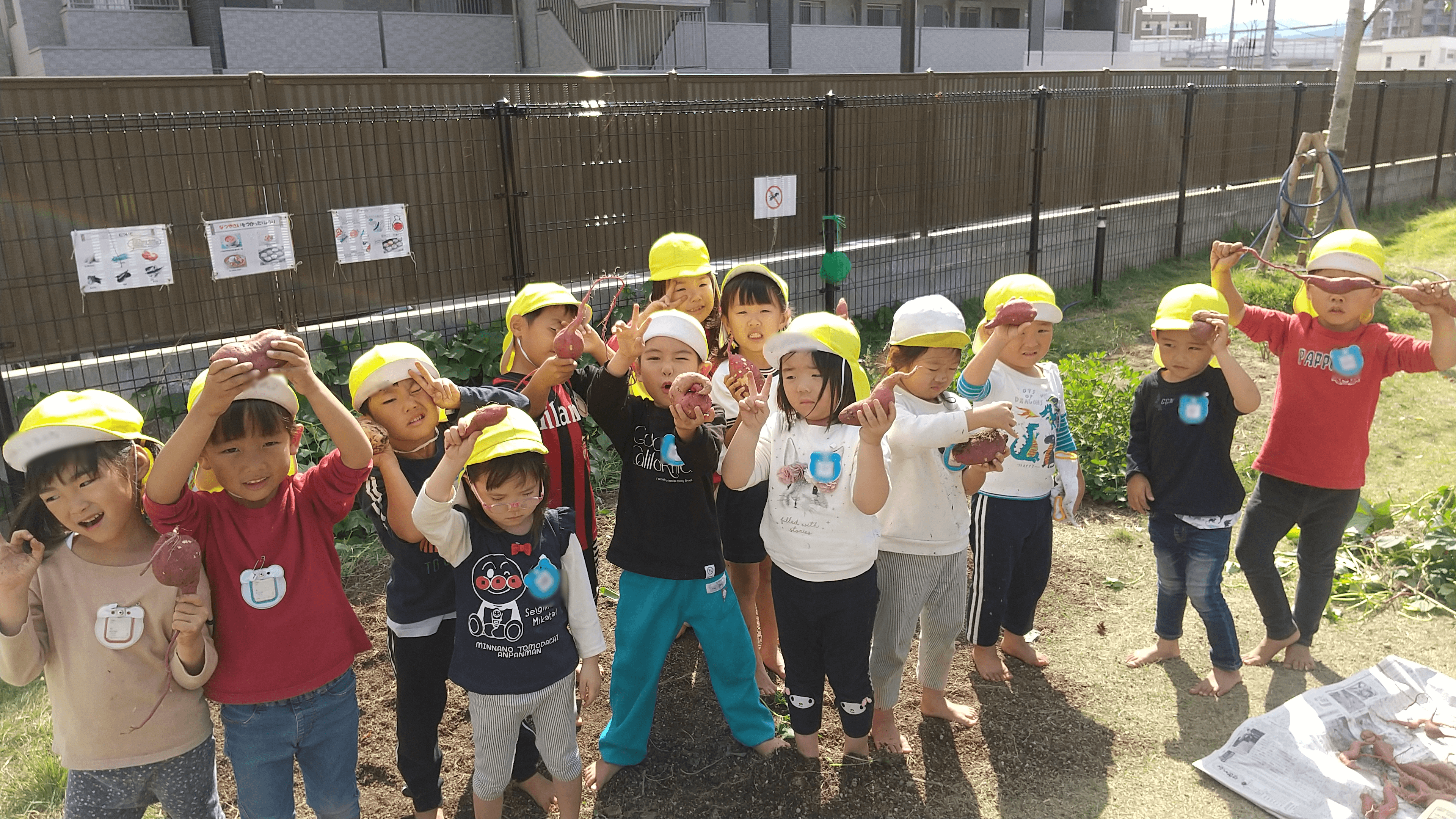 掘った芋を見せる子どもたち