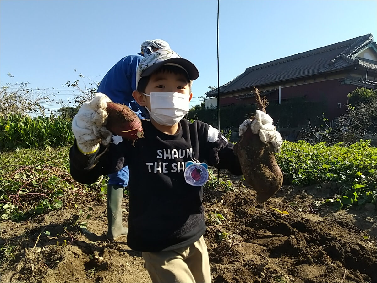 採れたさつまいもを手にする子ども