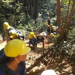 日高どろんこ保育園「日和田山登頂」