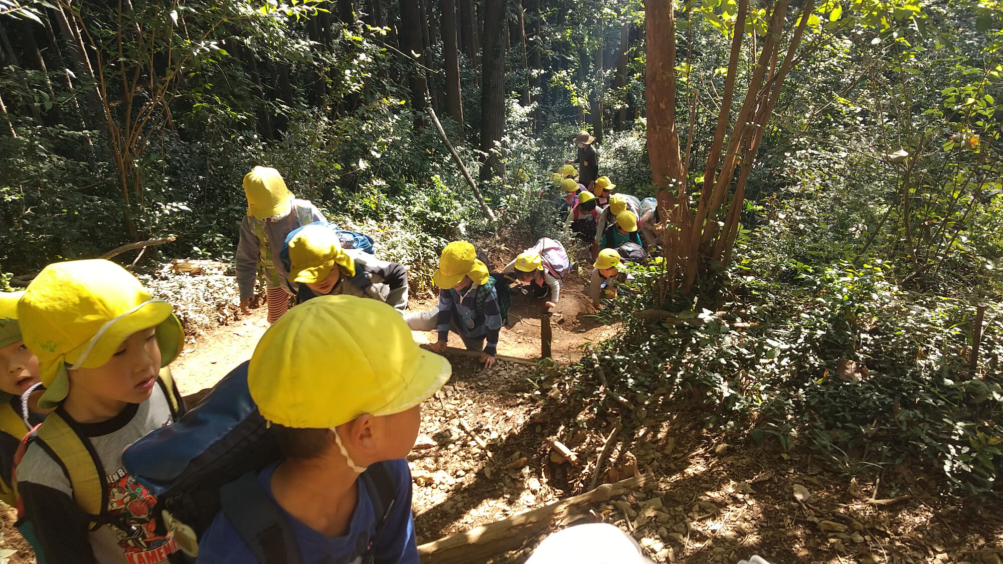 山を登る子どもたち