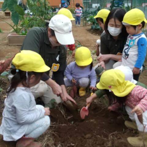 さつまいも掘りをする子どもたち