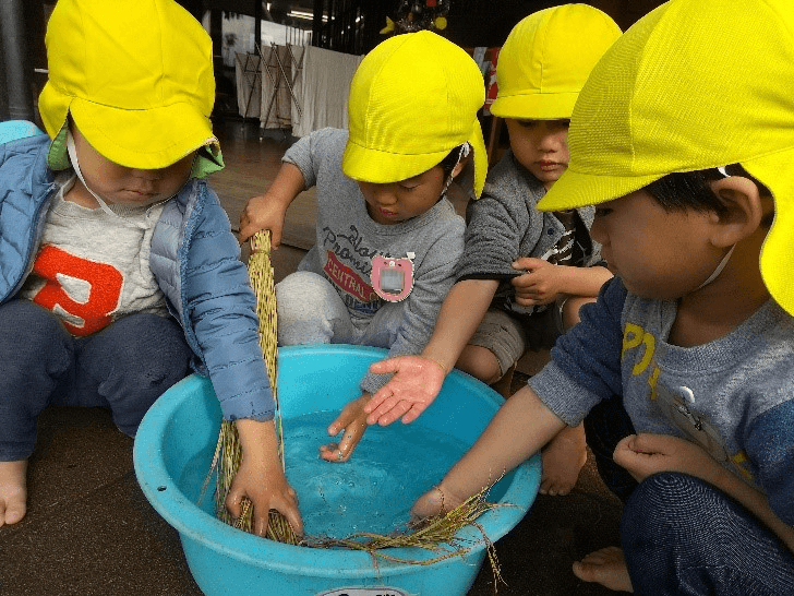 水に藁をつける子どもたち