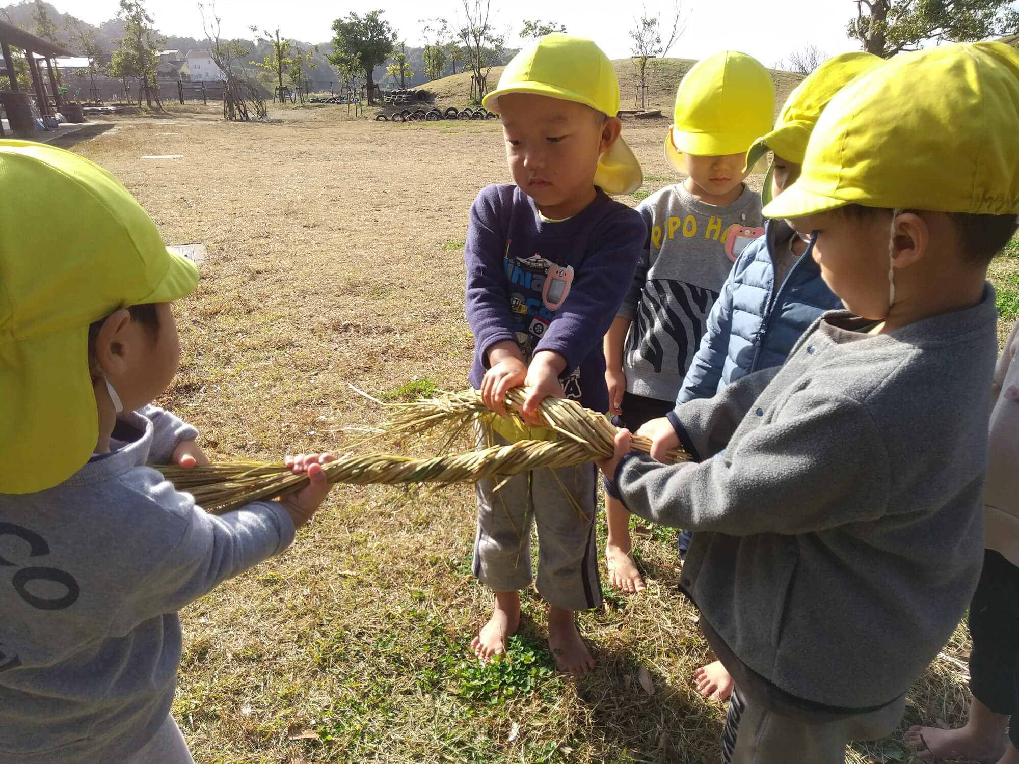 複数人で藁をひねってしめ縄づくりをする子どもたち