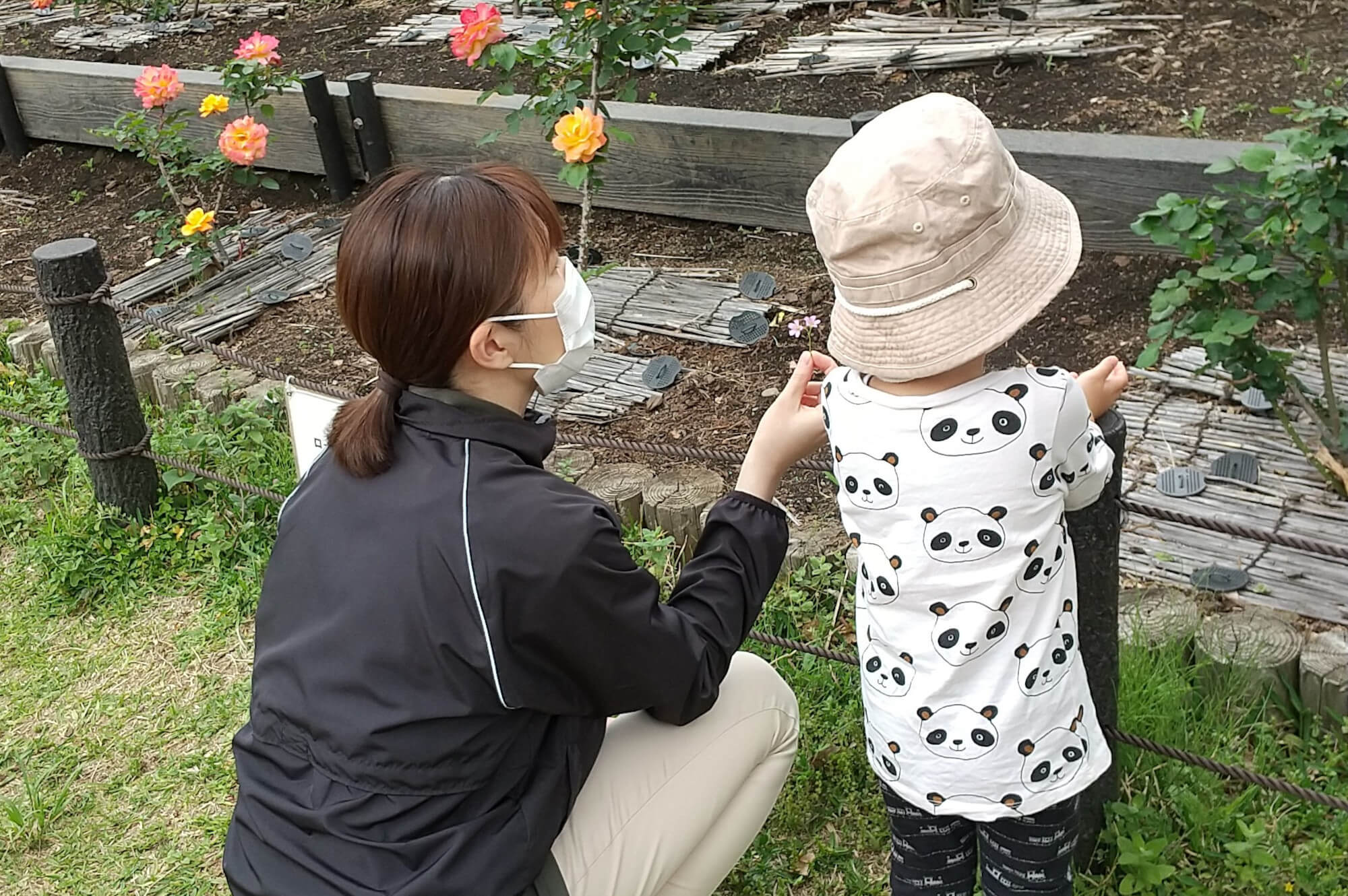 花を観察する子ども