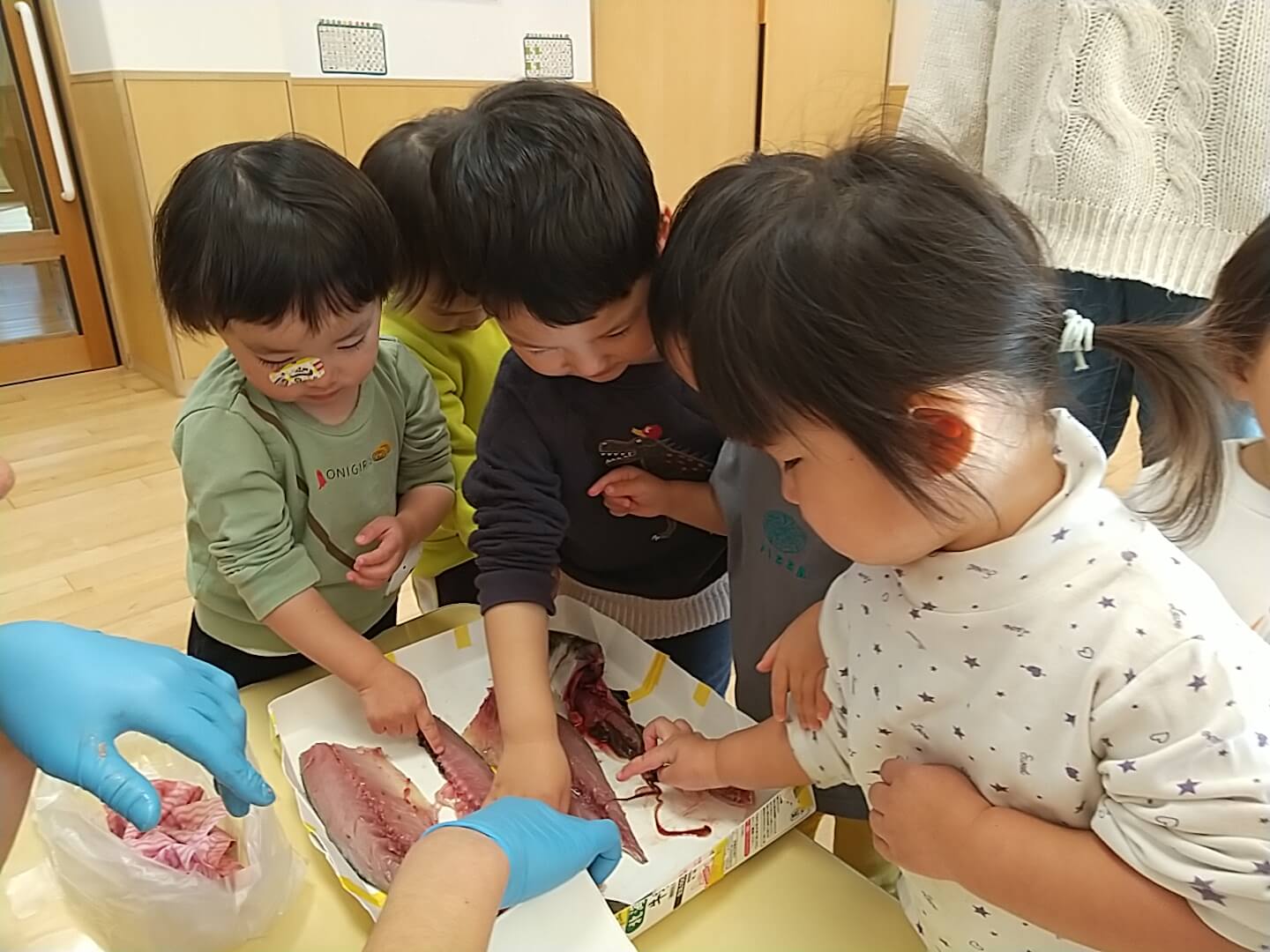 さばかれた鯖に触れる子どもたち