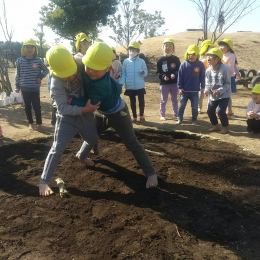 一宮どろんこ保育園「のこった、のこった！」