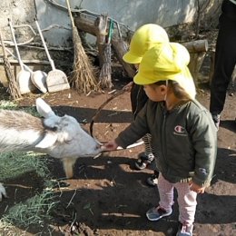 池上どろんこ保育園「保育園の先生のはなし」