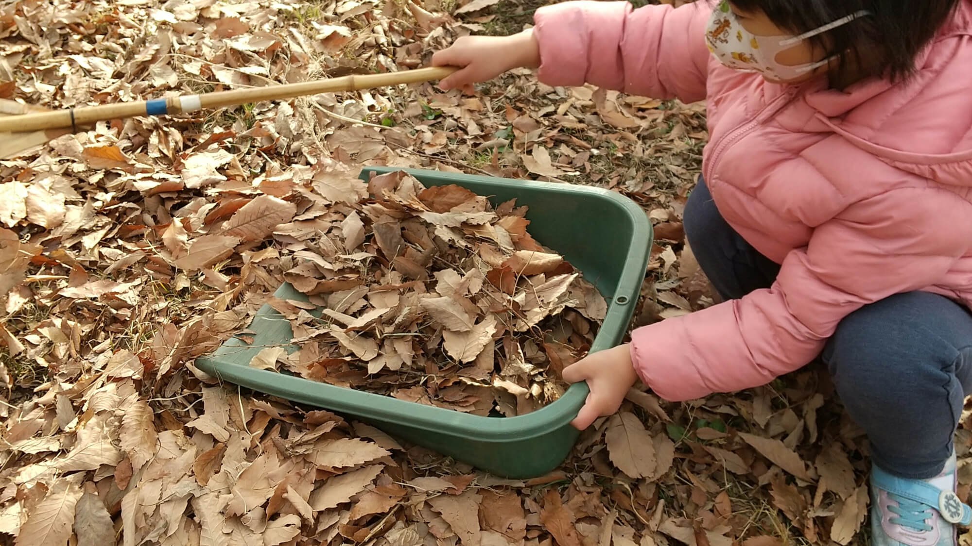 落ち葉を集める子ども