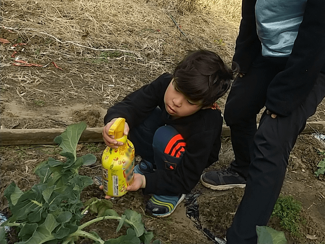 葉っぱに防虫スプレーをする子