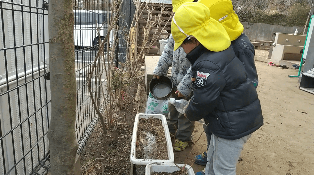 プランターに水やりする子どもたち