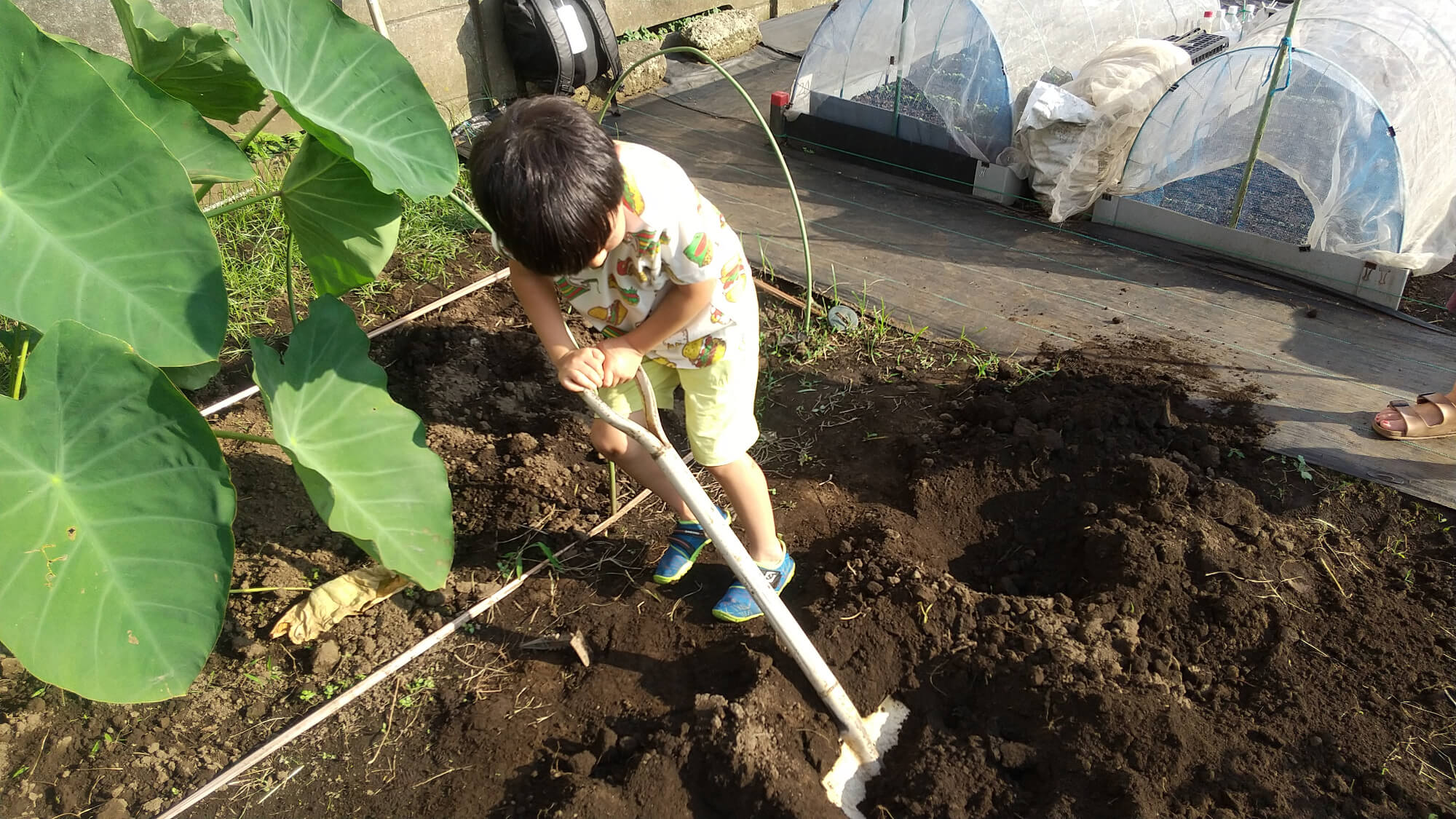 畑をつくる子ども