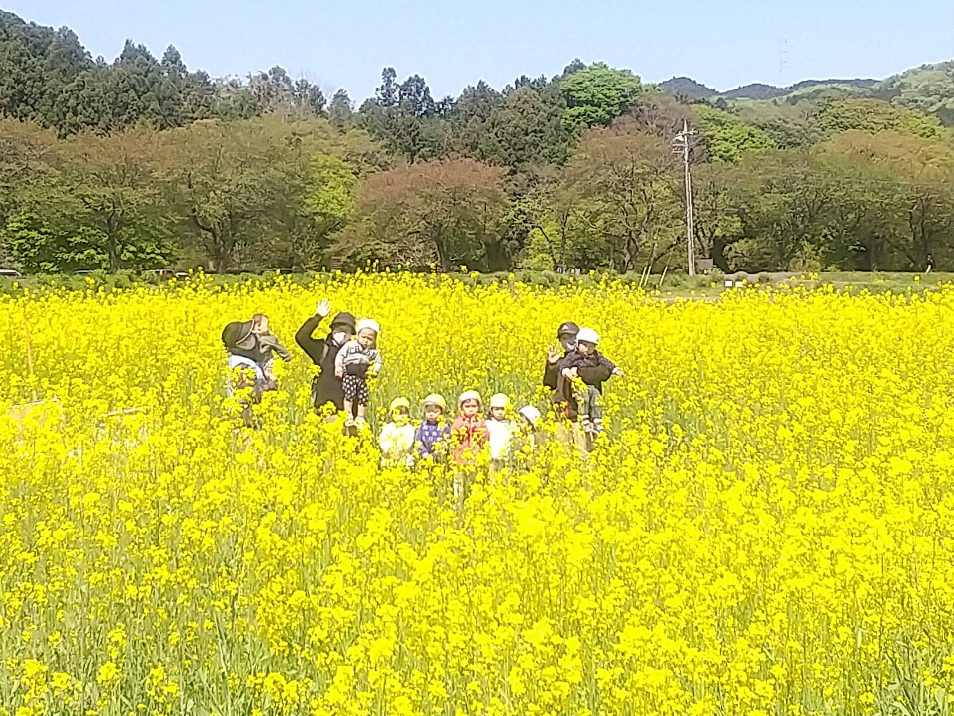 巾着田にて