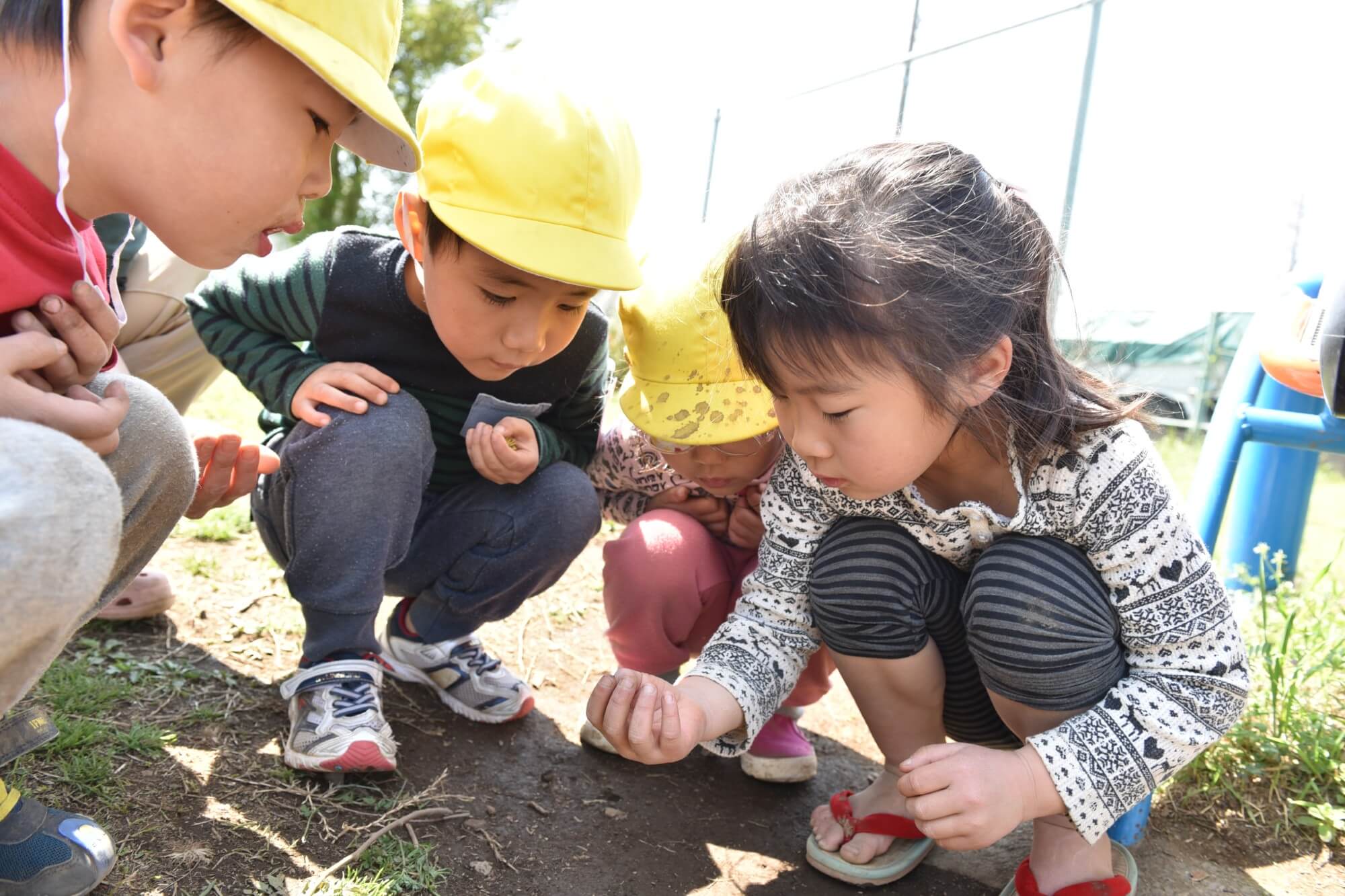 触って確かめる子どもたち