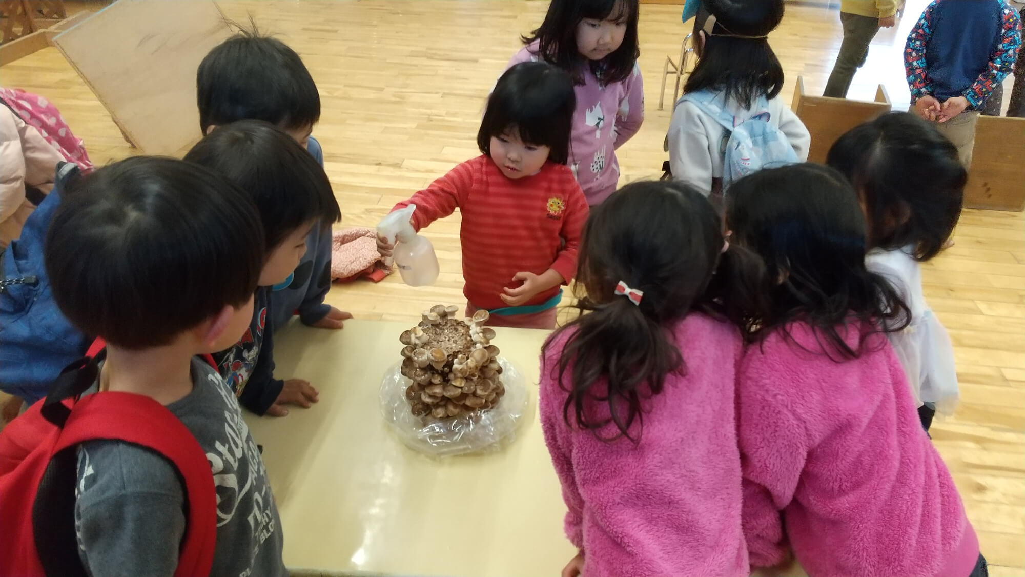 シイタケに霧吹きで水をあげる子どもたち