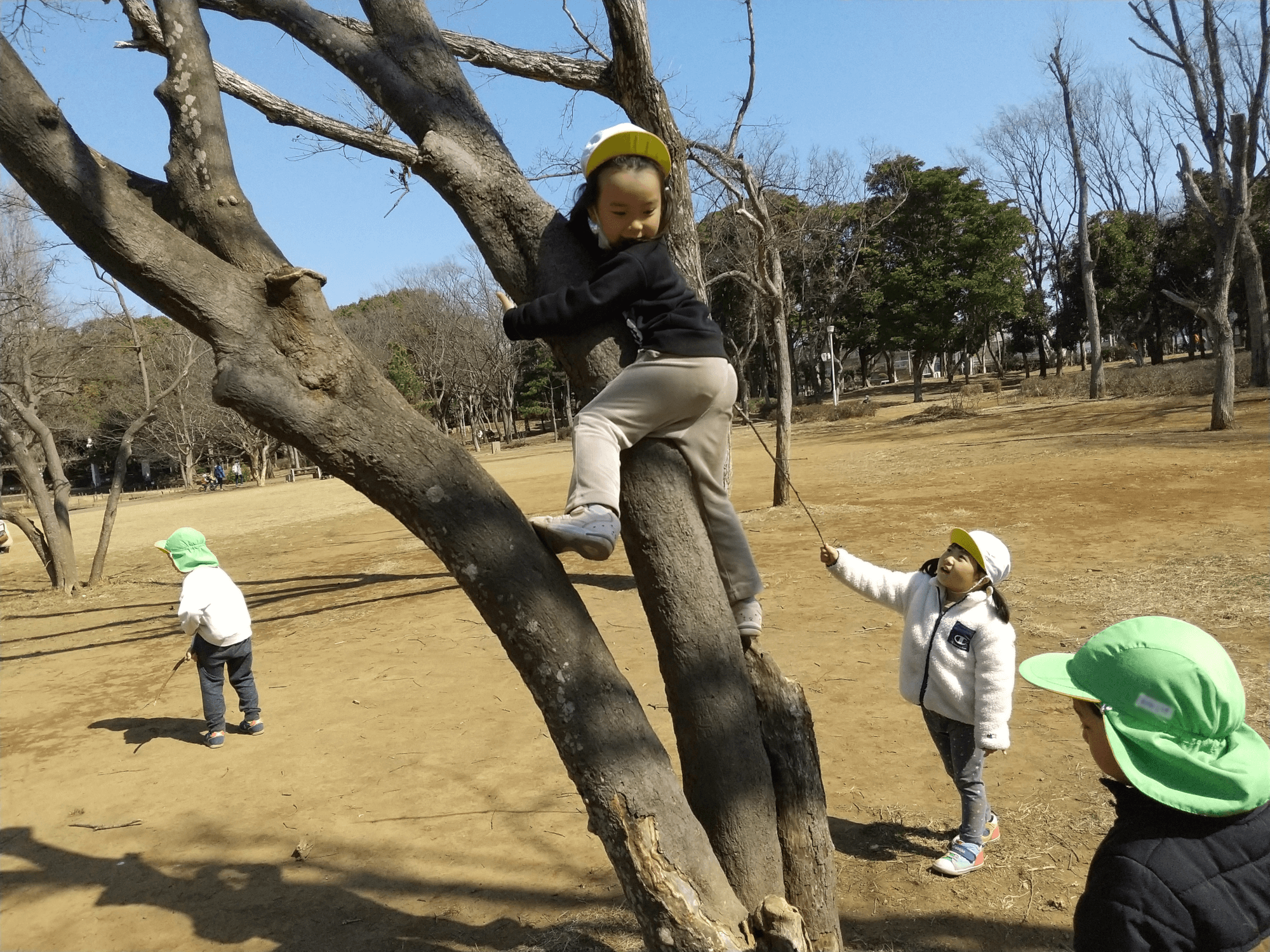 木登りをする子ども