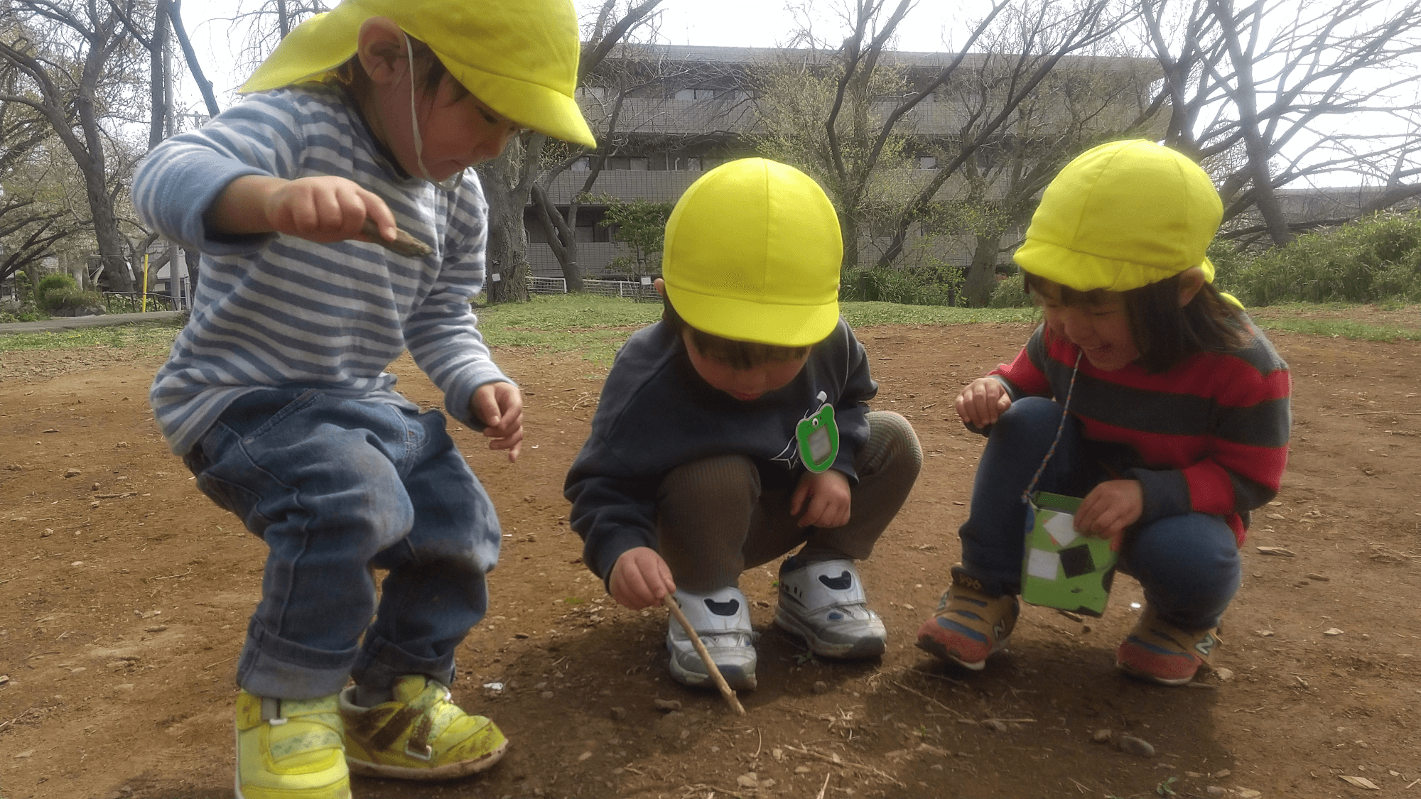 虫を観察する子どもたち