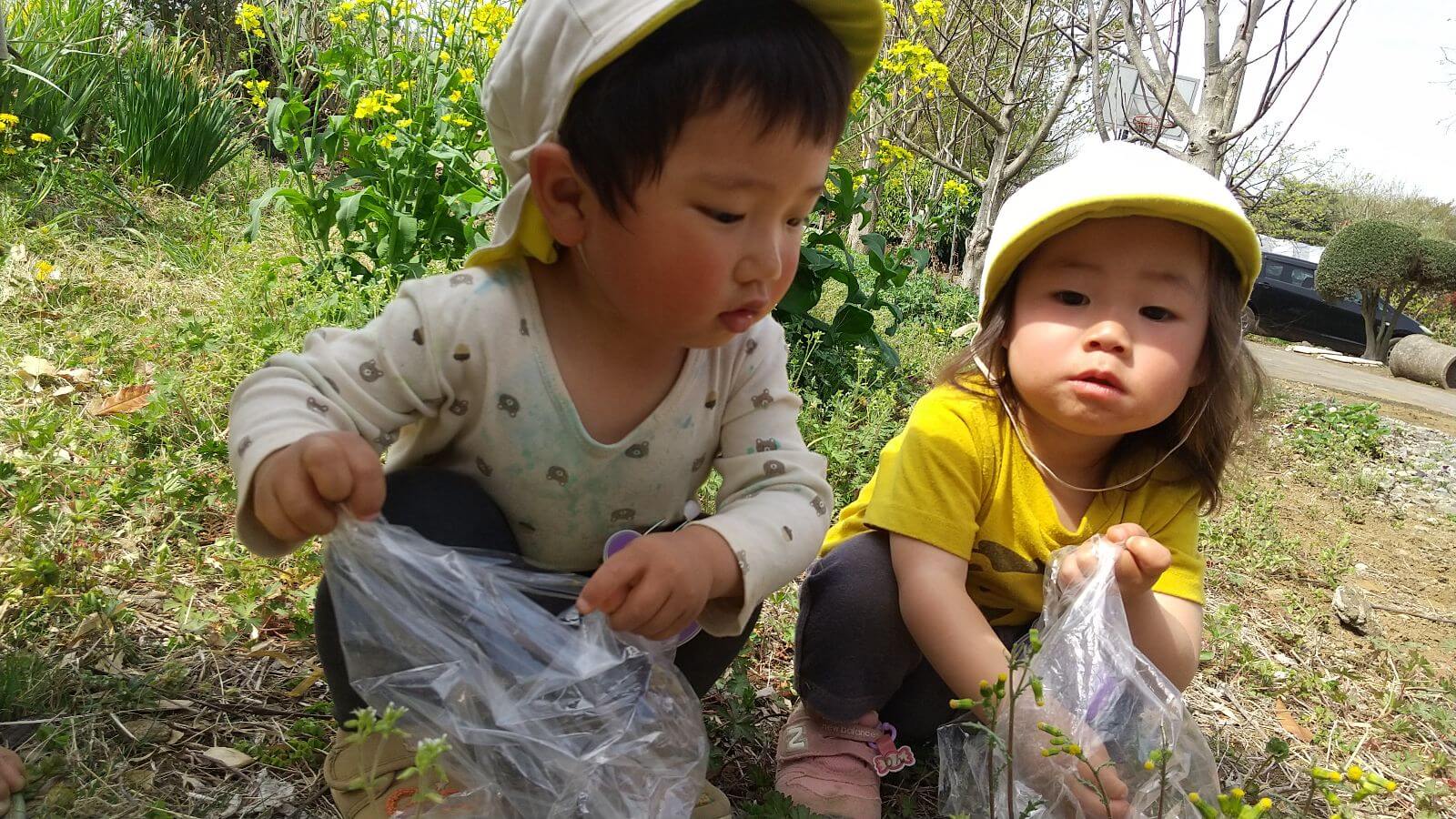 草花や虫に触れる子どもたち