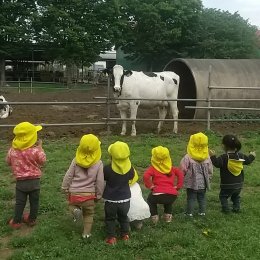 日高どろんこ保育園「生き物との関わり～生死を知る～」