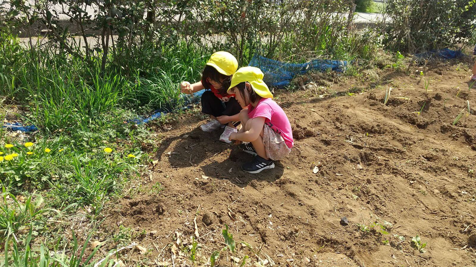 自然に触れる子どもたち