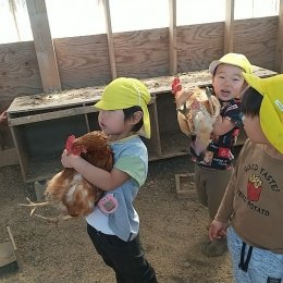 朝霞どろんこ保育園「大きな家」