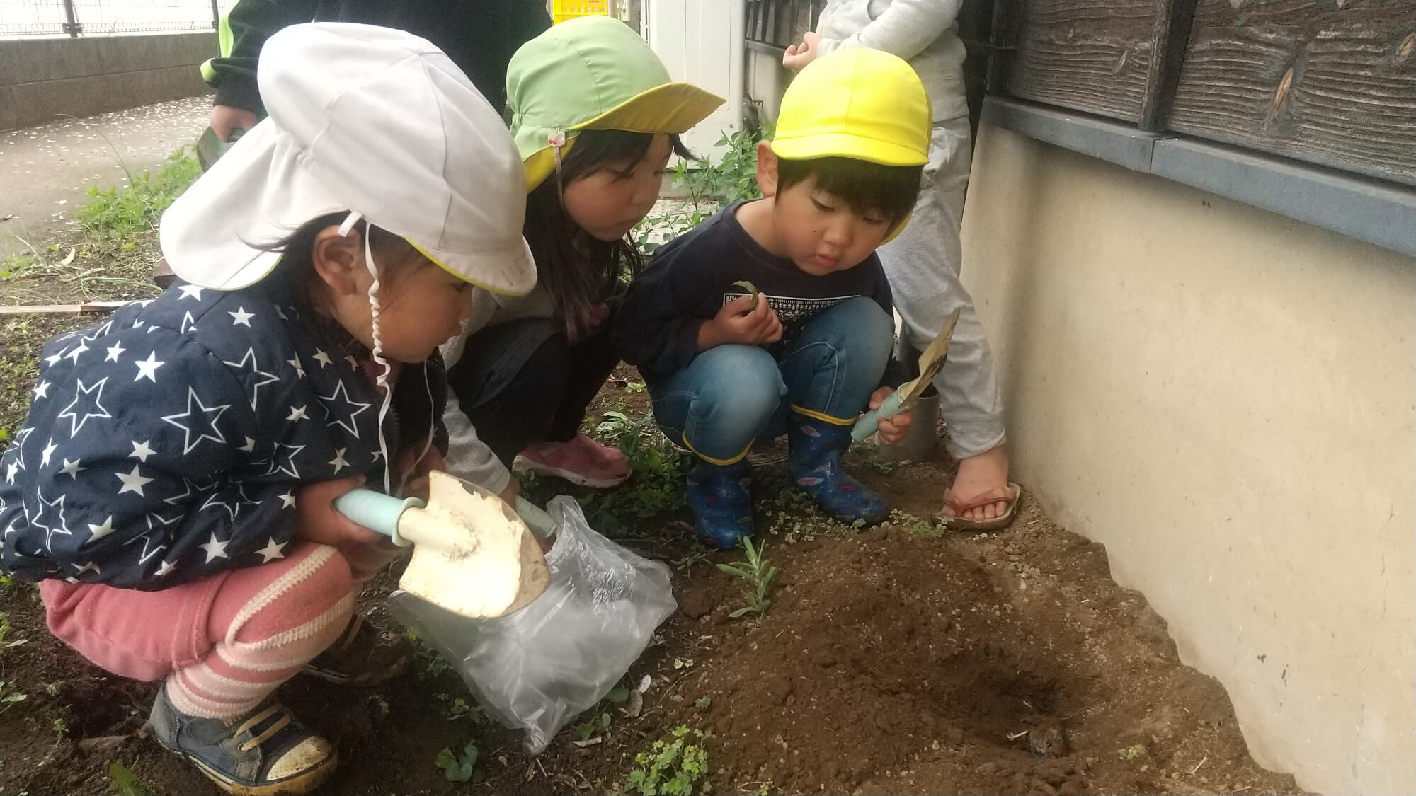 スズメの亡骸を土の上に置く子どもたち